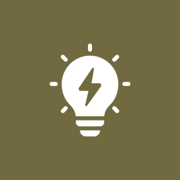 Electrical and Electronics (E&E)